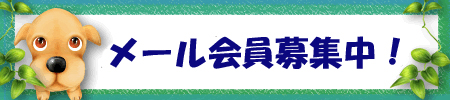 ベルコンタクトメール会員募集中!